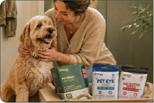 None of them quite your dog? Build the kit yourself.