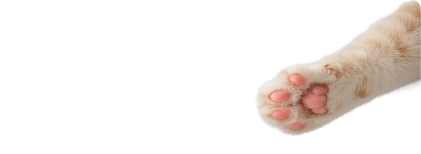 Paw Care