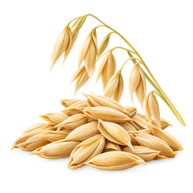 Oat Kernel Extract